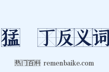 猛趷丁反义词是什么意思的图片